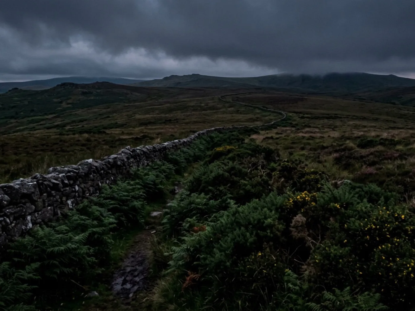 Open moorland at dusk with low cloud and bracken, the kind of ground a search covers on foot slowly and by air quickly